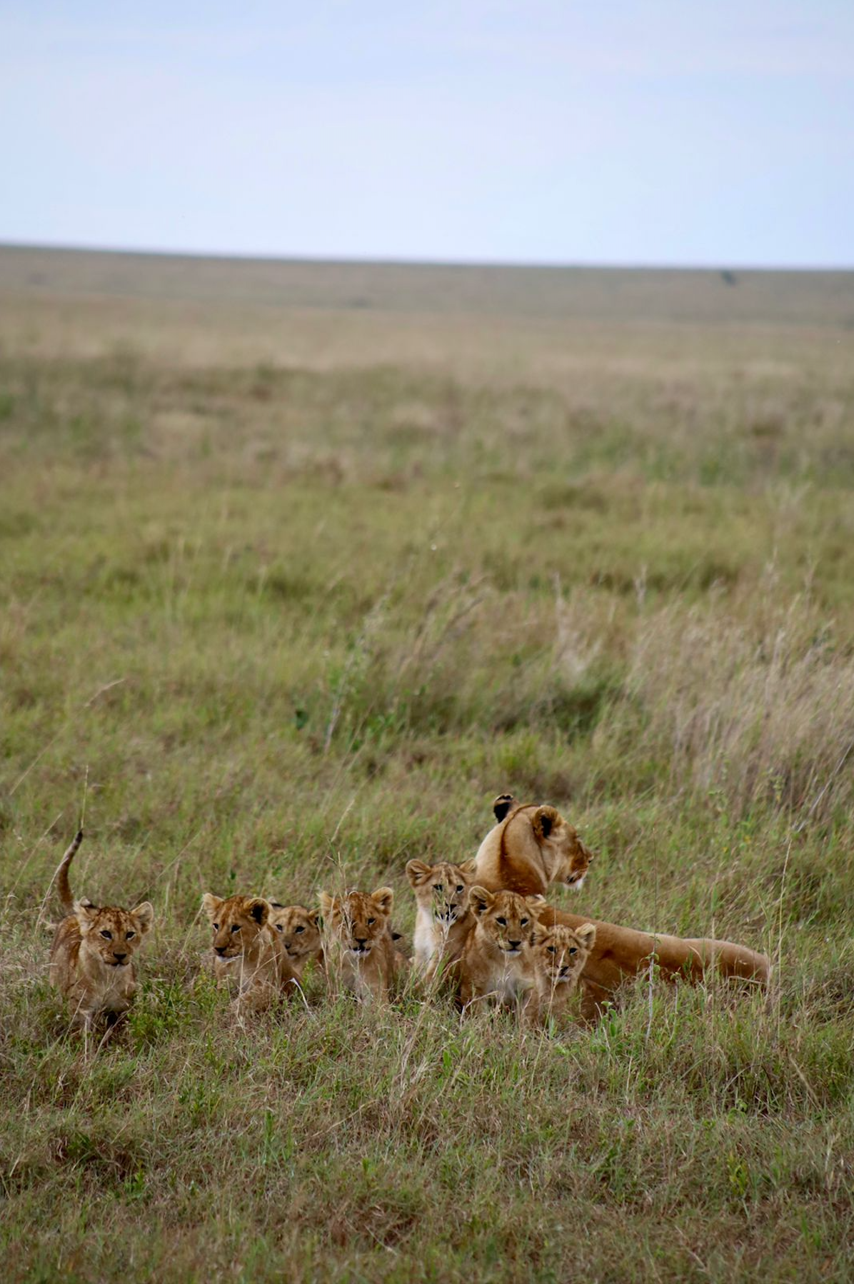 Captura de Pantalla 2025-09-16 a la(s) 14.24.48
