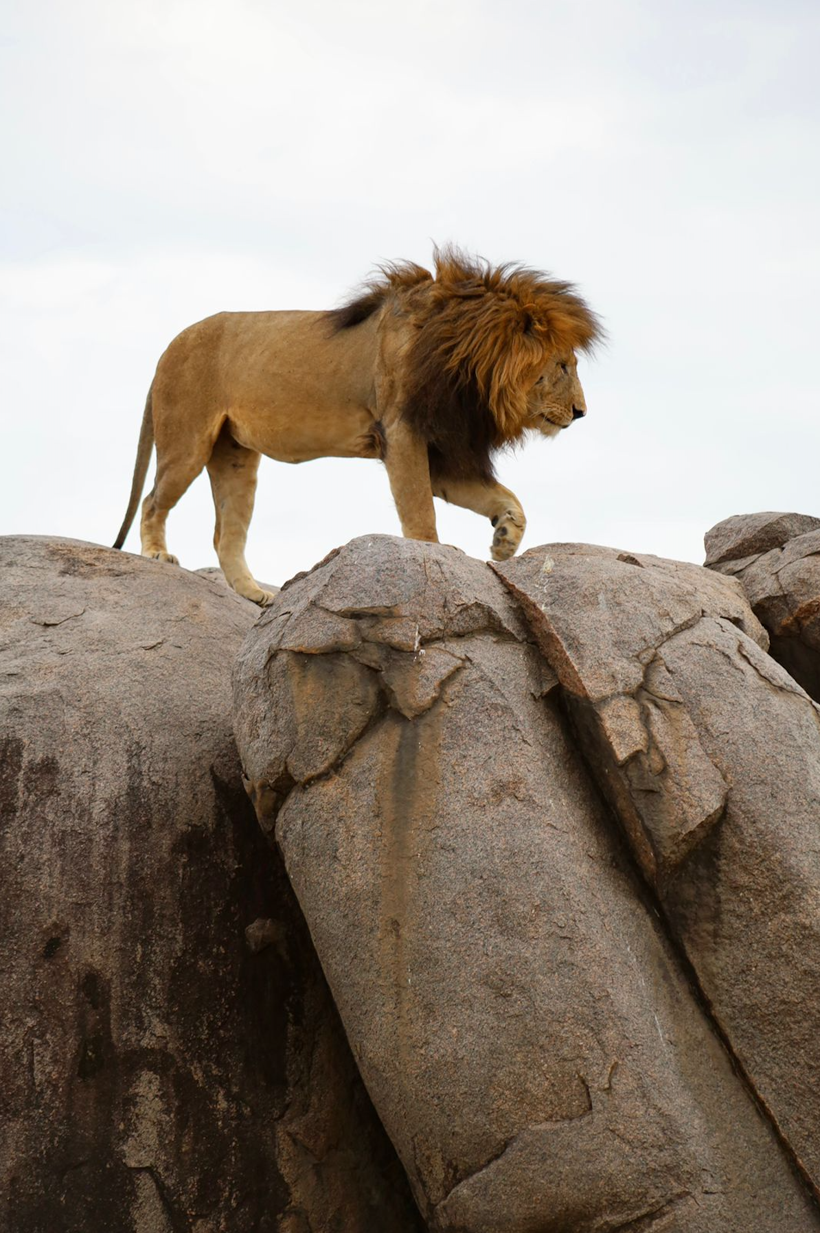 Captura de Pantalla 2025-09-16 a la(s) 14.25.08