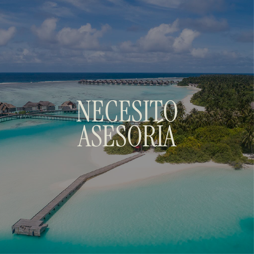 Necesito asesoría